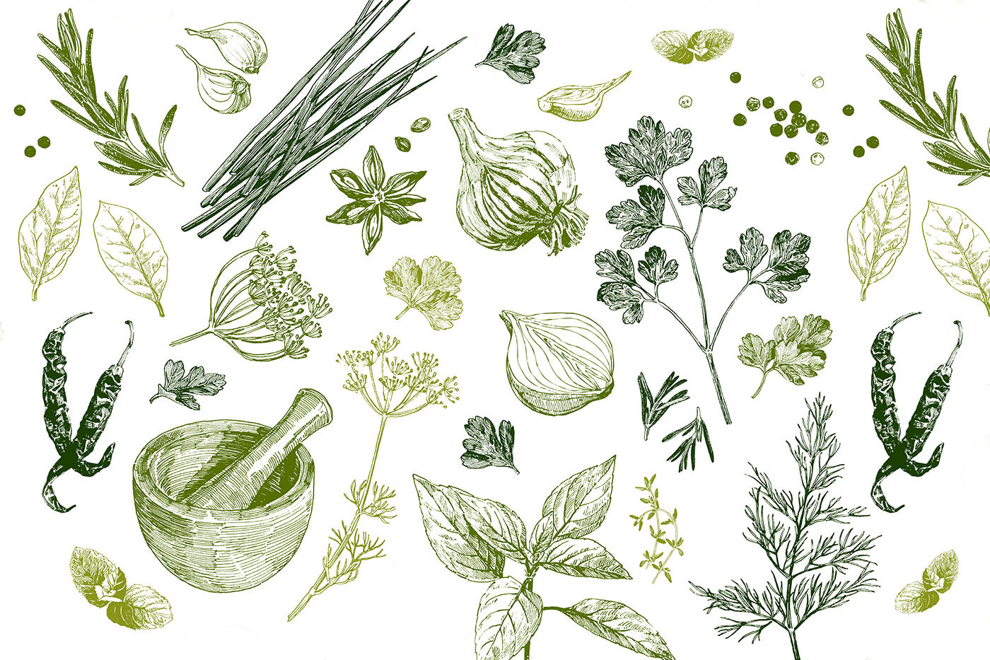 A collection of herbs and spices A collection of herbs and spices