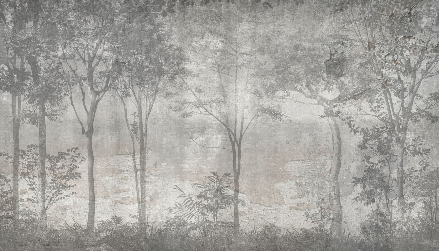 A grey and white photo of trees A grey and white photo of trees