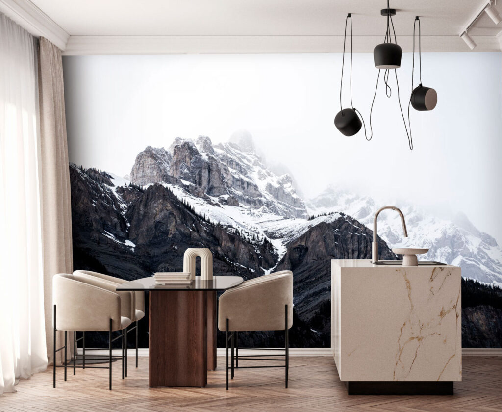 A snowy mountain with trees