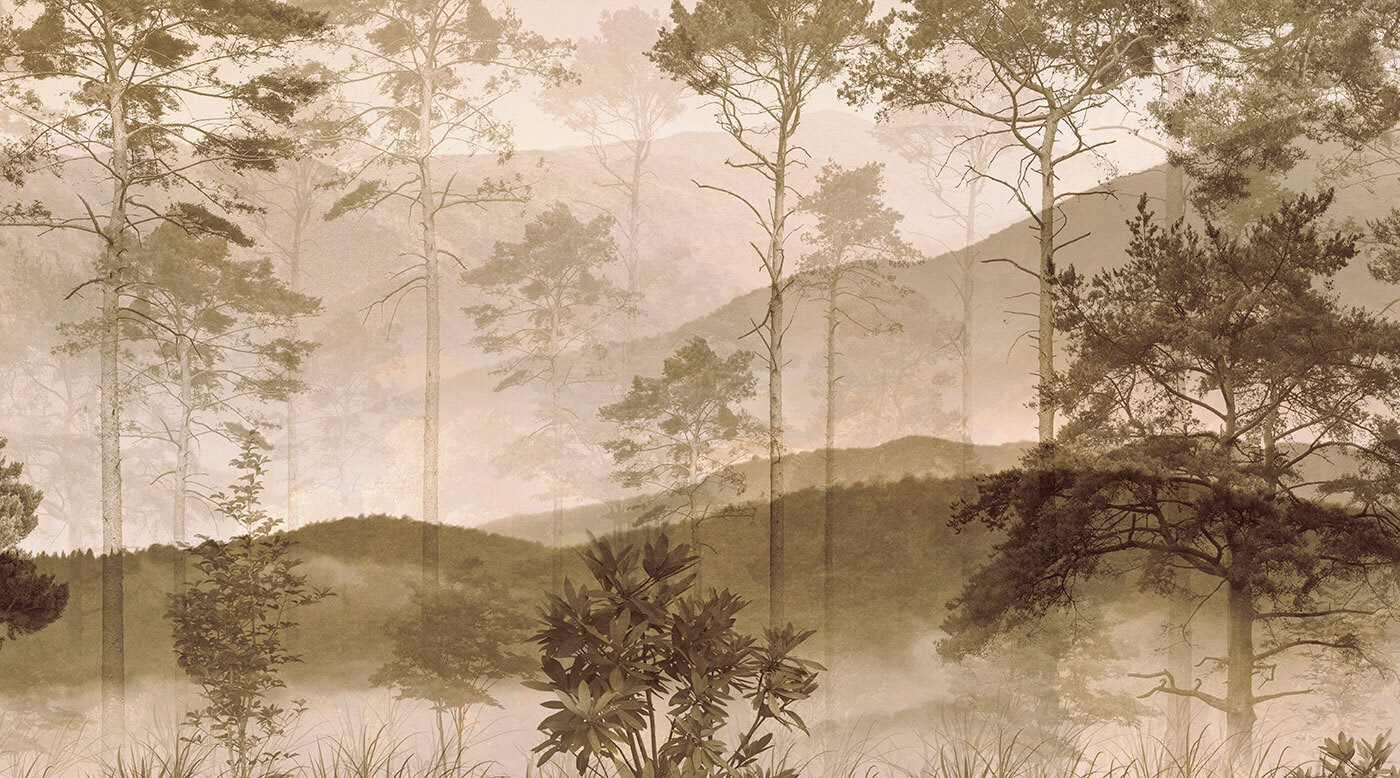 Foggy landscape with trees and hills Foggy landscape with trees and hills