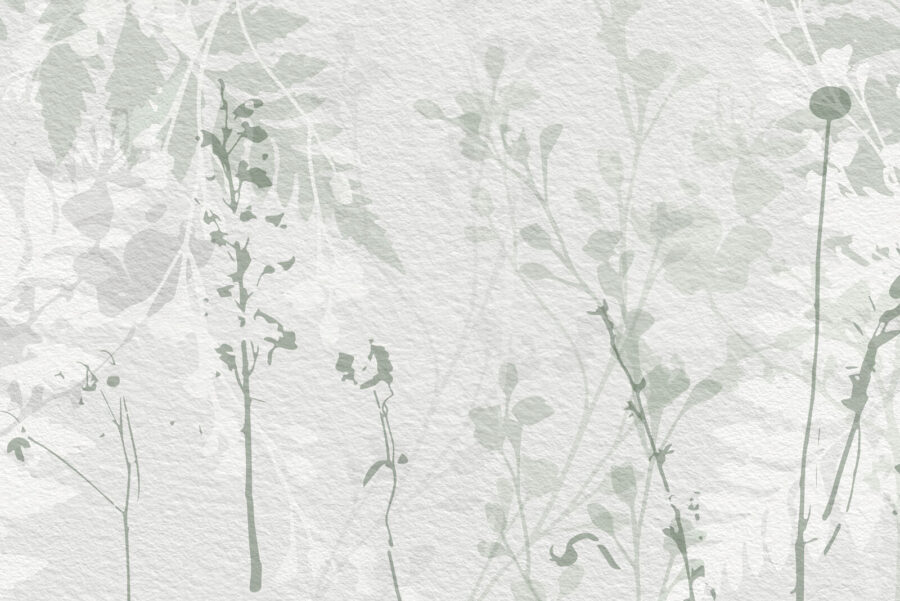 White wall with green leaves White wall with green leaves