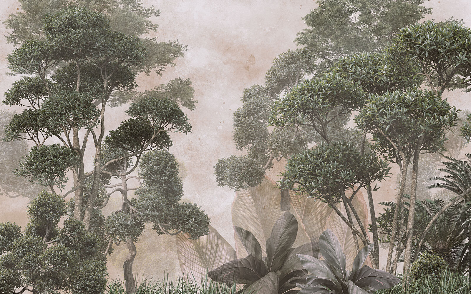 Group of trees and grass Group of trees and grass