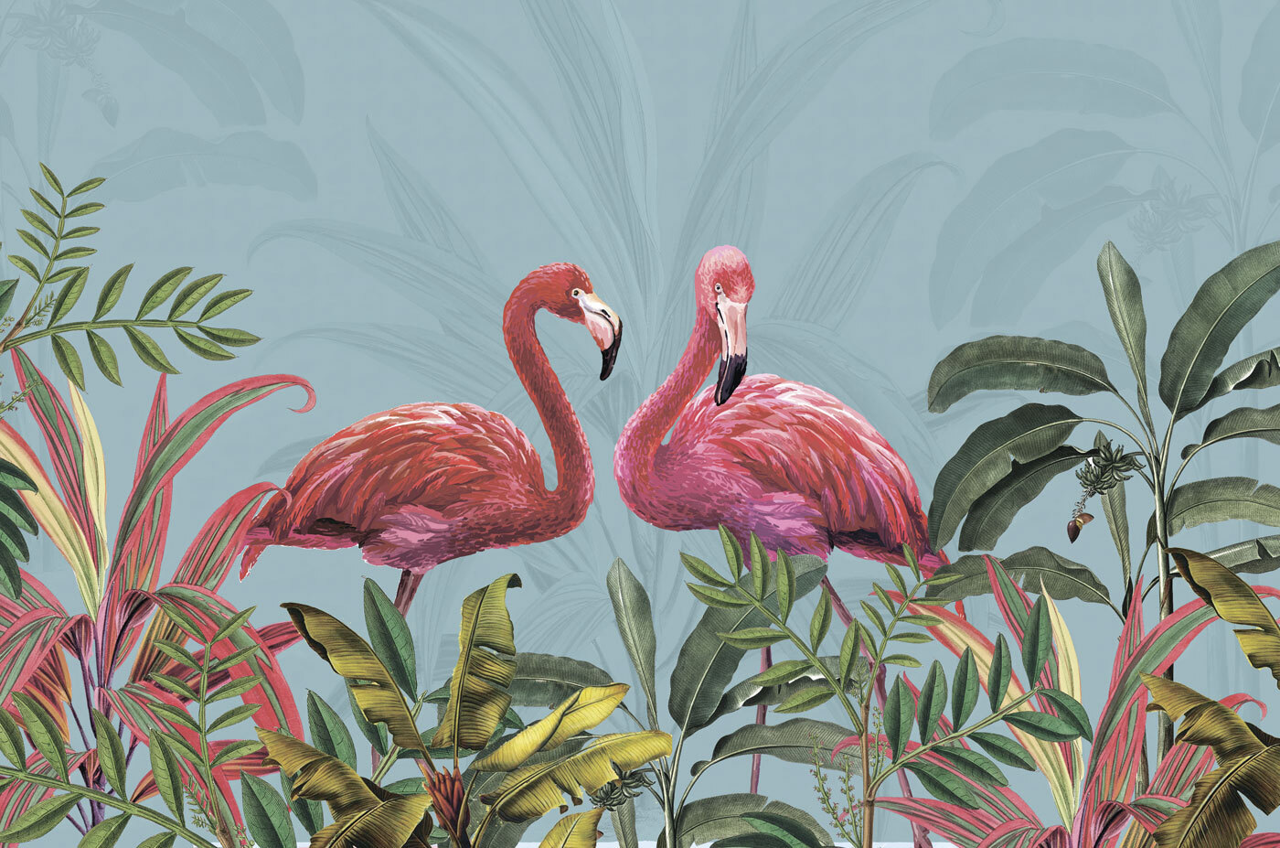 Two pink flamingos and green leaves