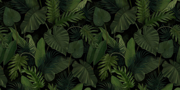 Pattern of green leaves Pattern of green leaves