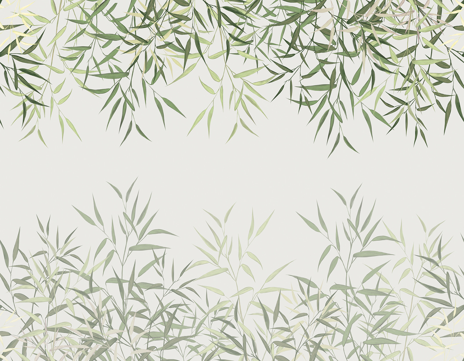 Delicate bamboo leaves on soft background