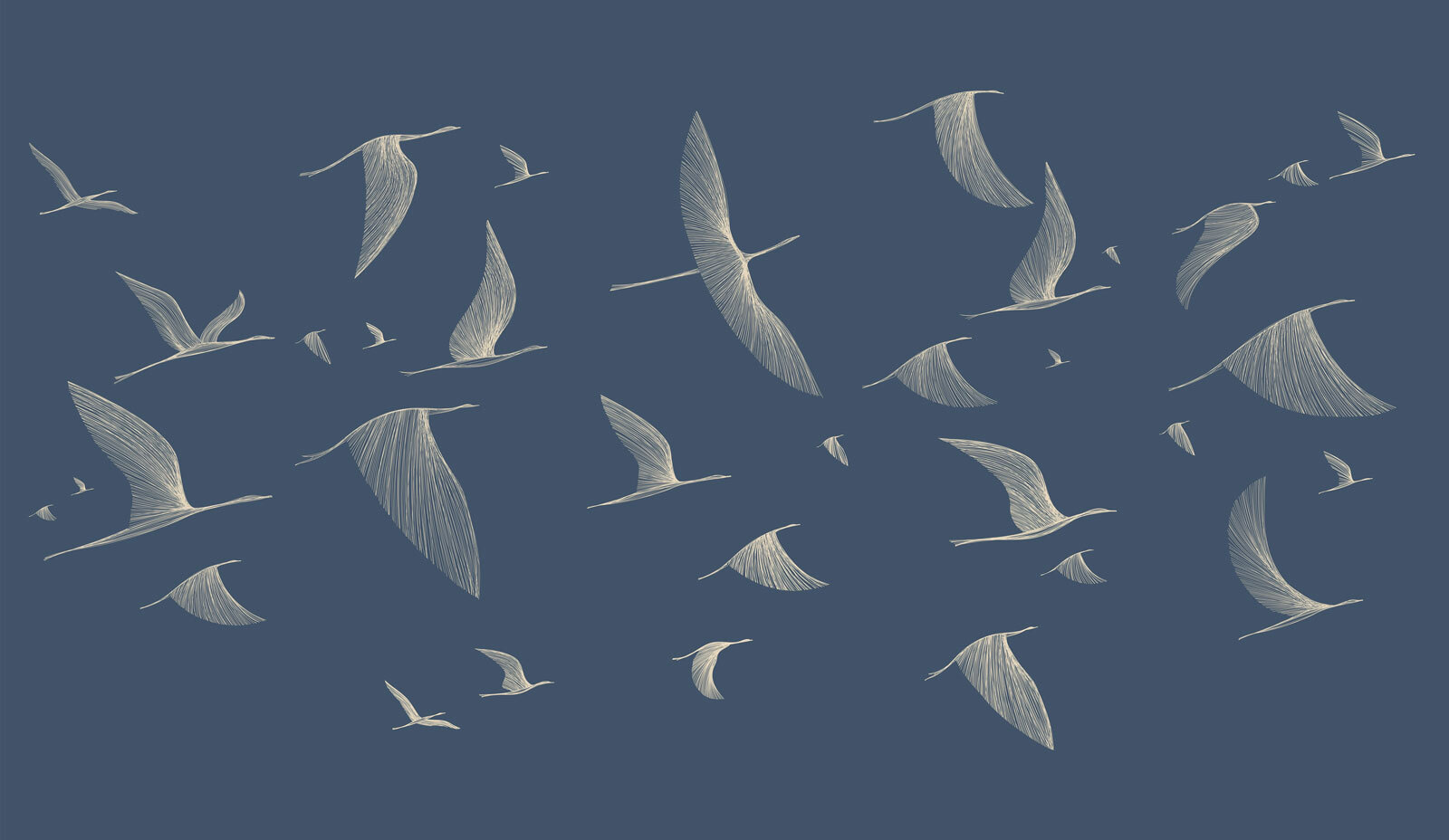Group of birds flying Group of birds flying
