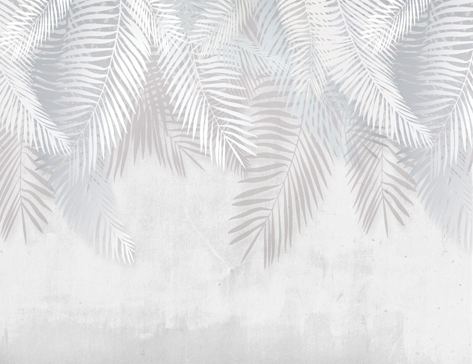 White leaves on a gray background White leaves on a gray background