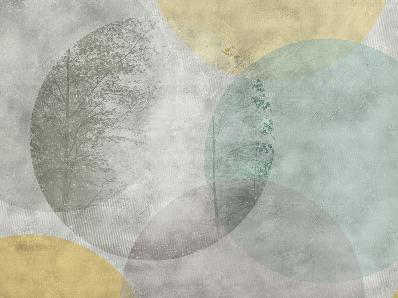 Tree and circles on a wall Tree and circles on a wall