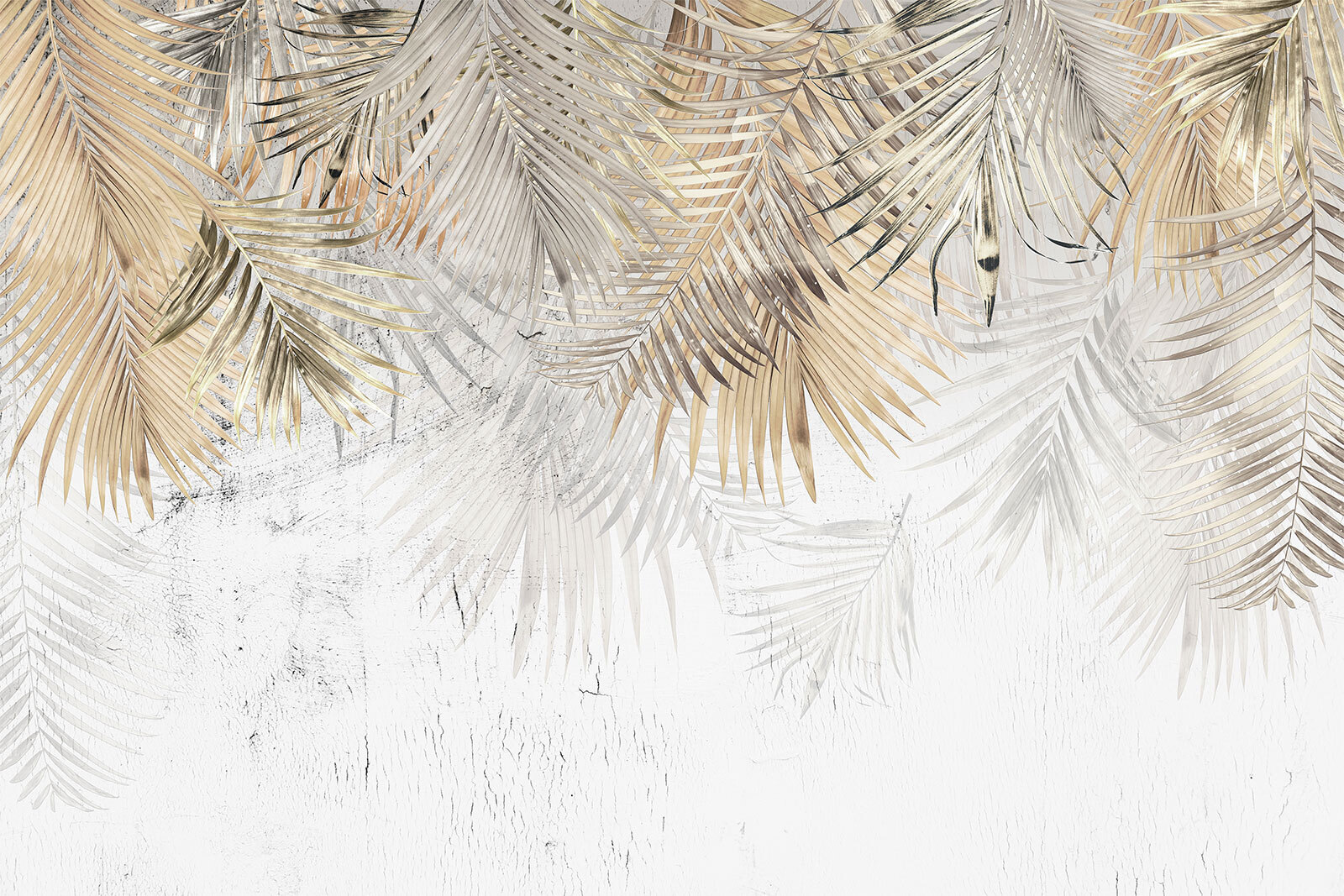Elegant palm leaves on a textured background Elegant palm leaves on a textured background