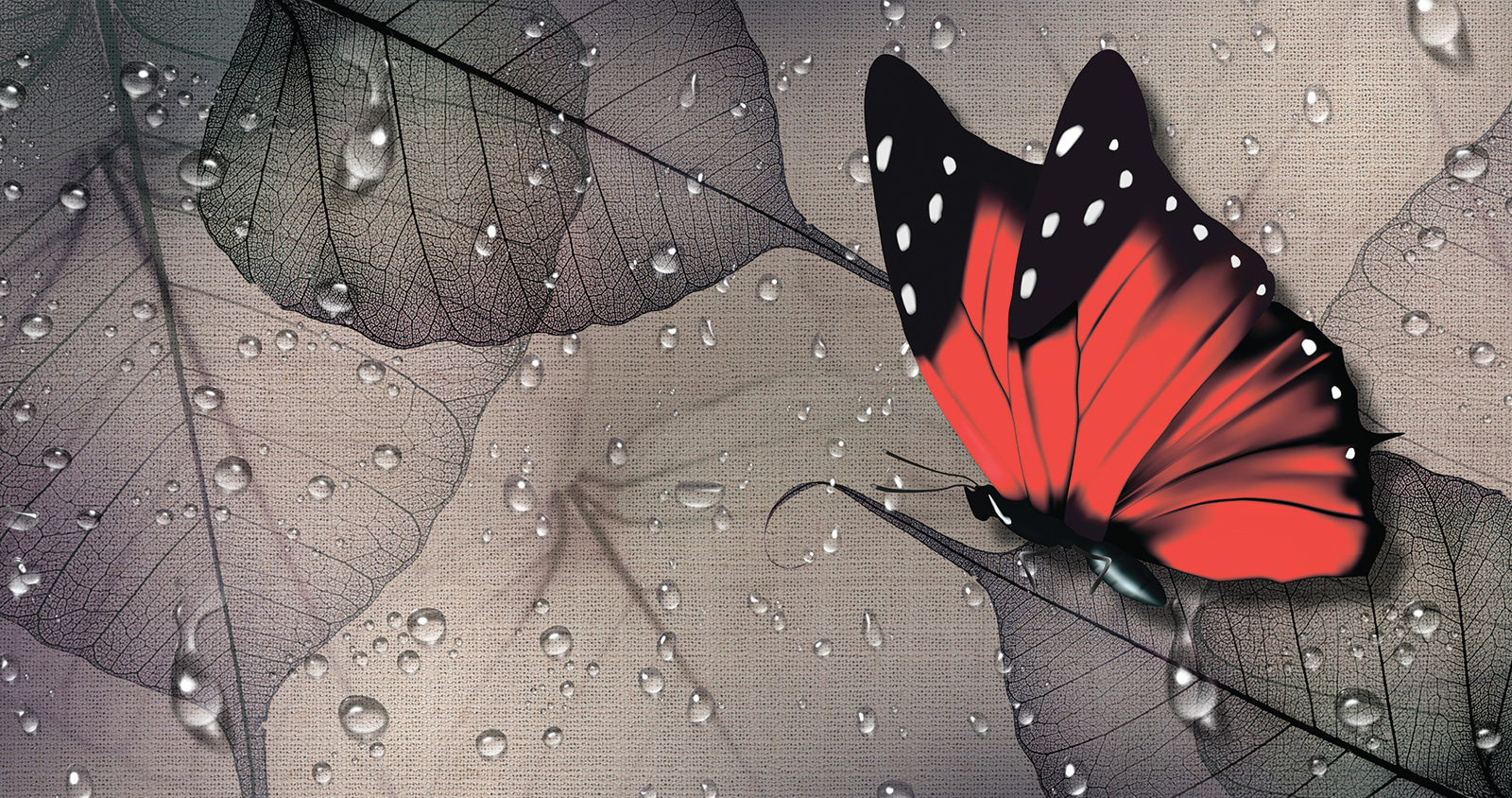 u93796p - Метелик на листі - tegory