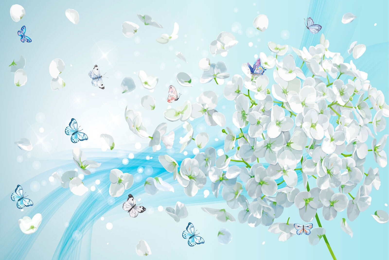 u93477p - Білі квіти з літаючими метеликами - tegory