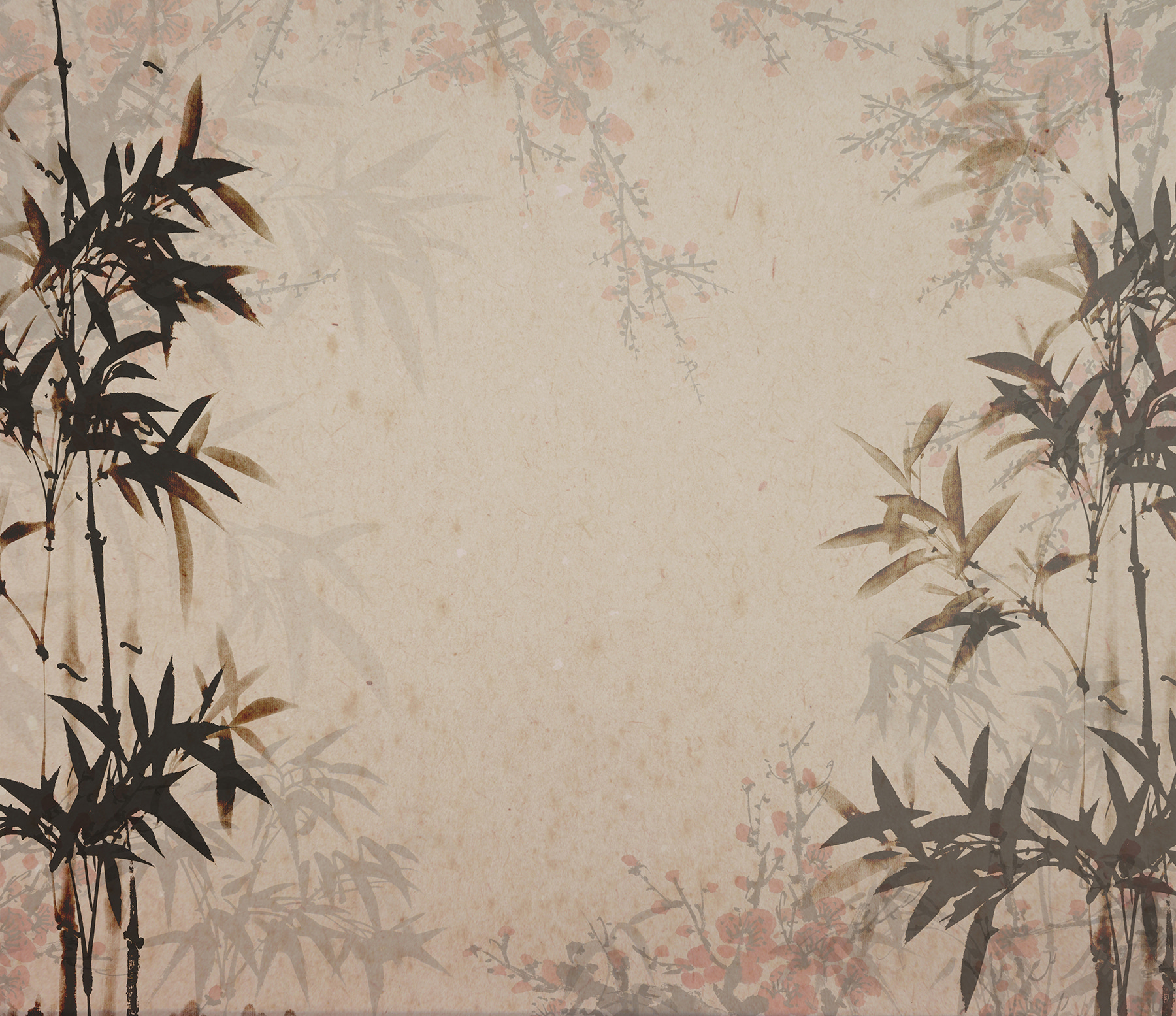 Black and white image of a bamboo plant