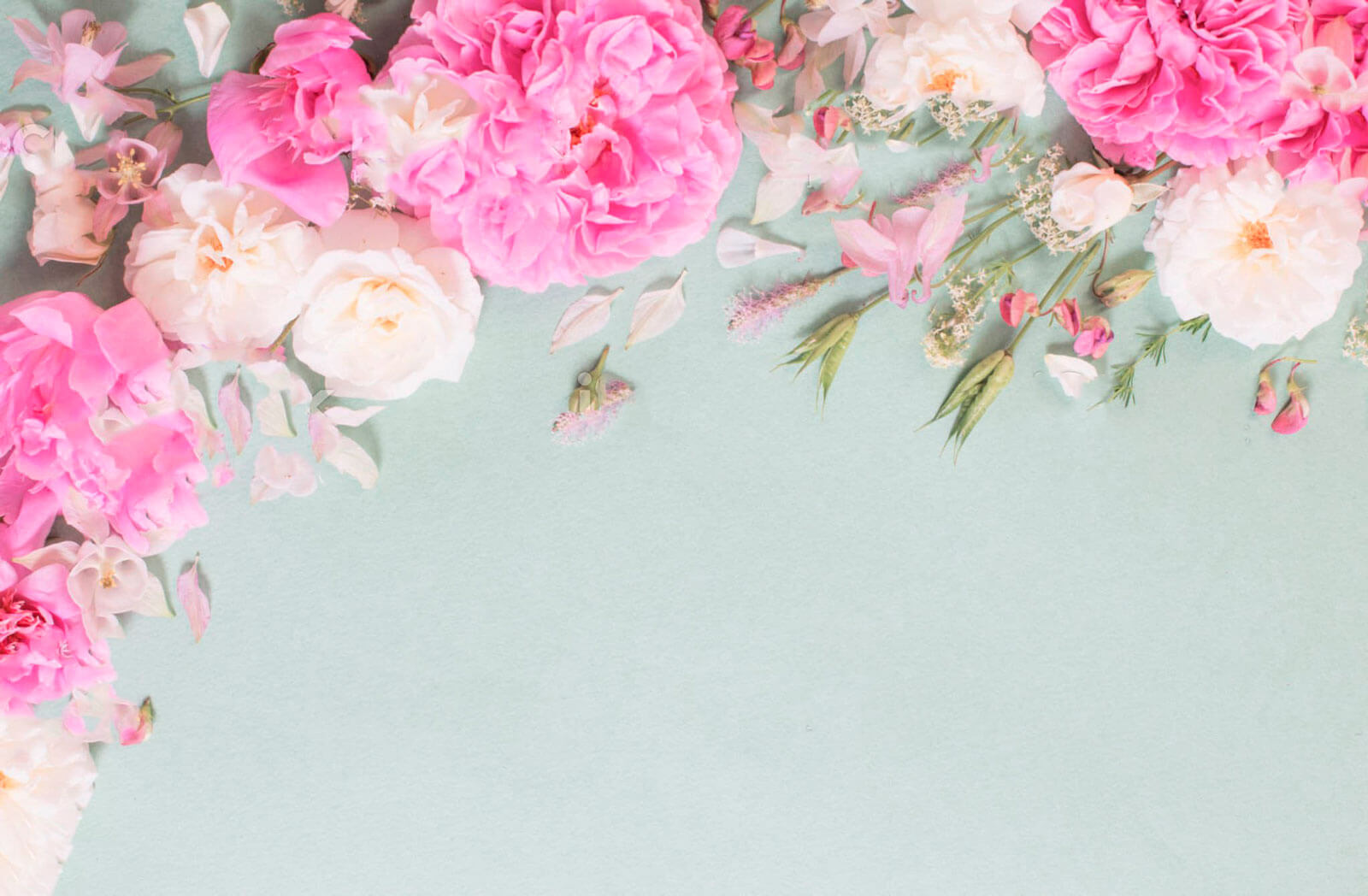 u72232p - Група рожевих квітів - tegory