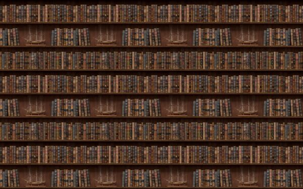 Стіна з книжок із зображенням човнів u72118p 600x375 - Стіна з книжок із зображенням човнів - tegory