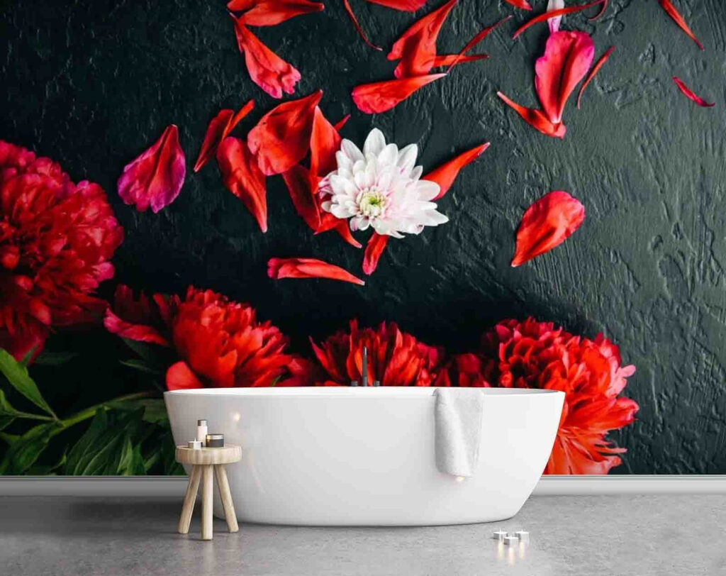 u71471pit1m 1024x812 - Група червоних квітів з пелюстками на чорній поверхні - tegory