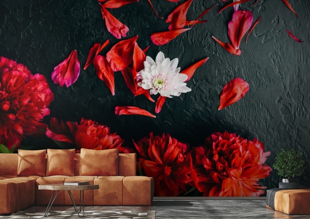 u71471pig1 1024x724 - Група червоних квітів з пелюстками на чорній поверхні - tegory