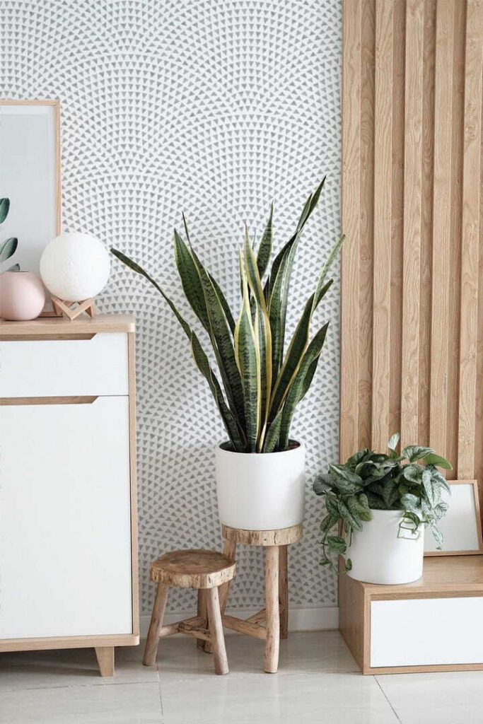 u71192pih1m 683x1024 - Біле тло з синіми крапками - tegory