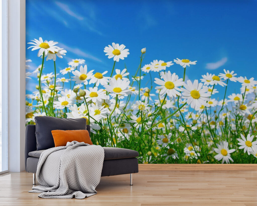 u62523pig25 1024x819 - Поле білих і жовтих квітів - tegory