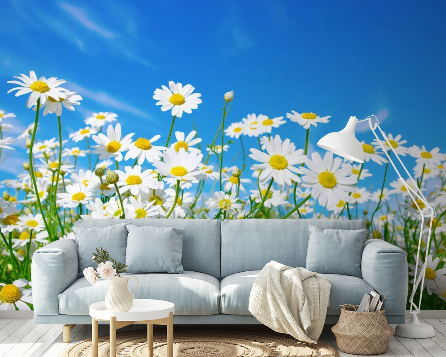 u62523pig14m - Поле білих і жовтих квітів - tegory