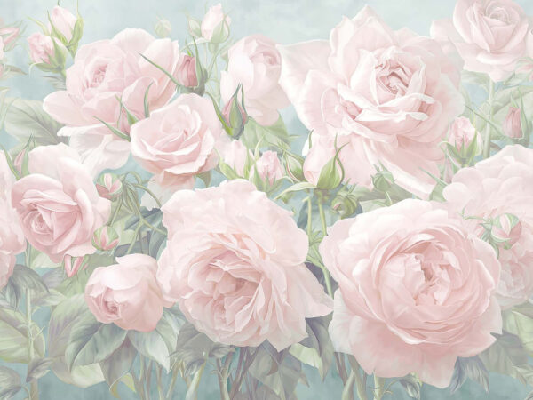 u61660p 600x450 - Група рожевих троянд - tegory