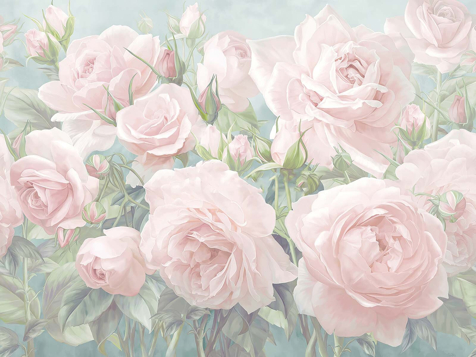 u61660p - Група рожевих троянд - tegory