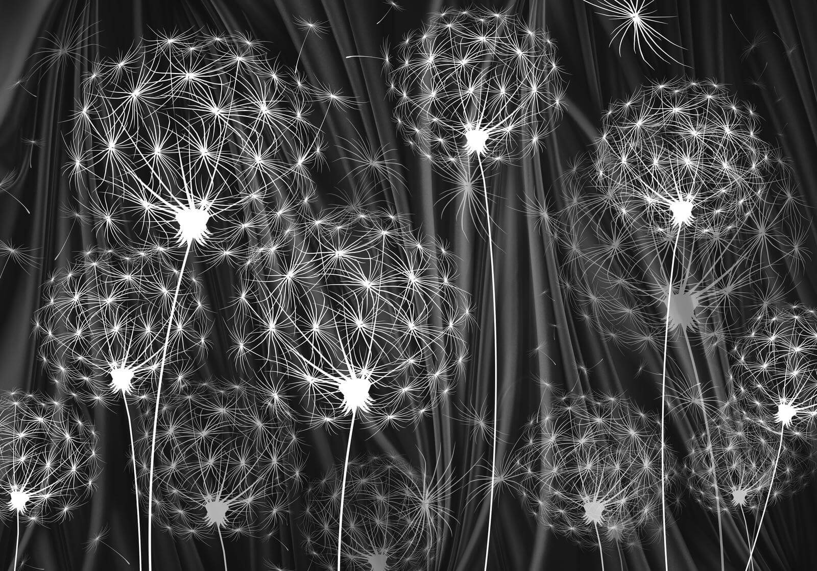 u61443p - Ніжне насіння готове до розсіювання - tegory