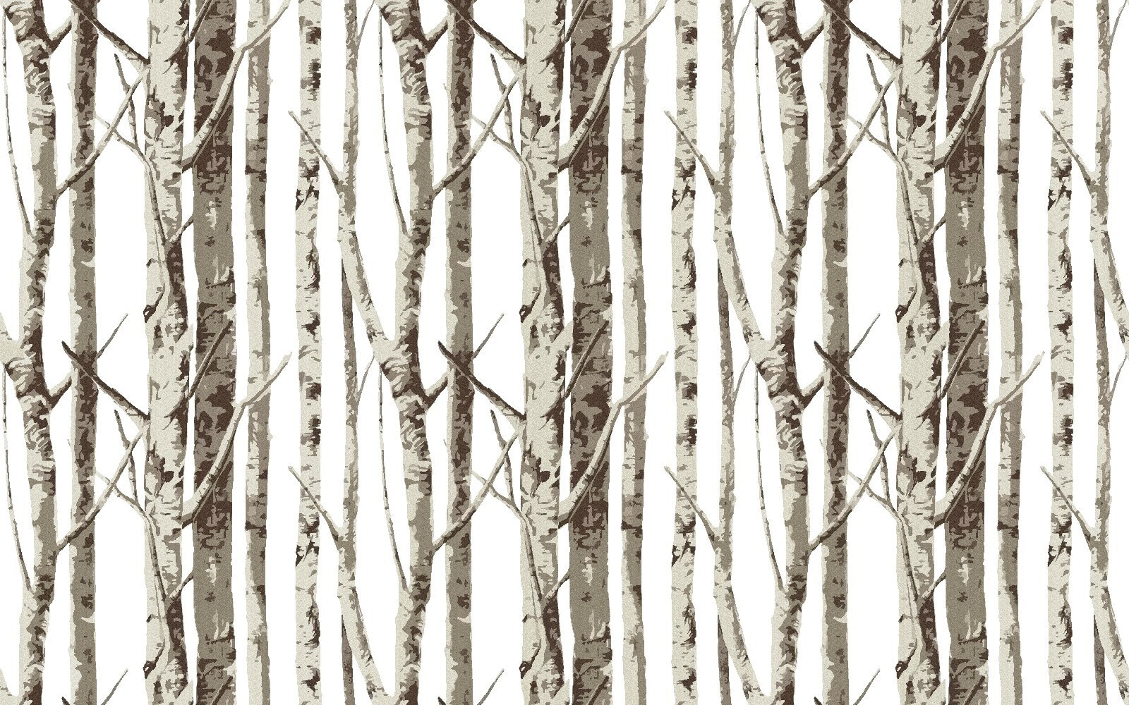 Group of trees with no leaves