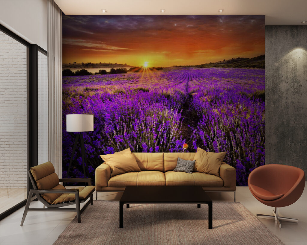 Field of purple flowers