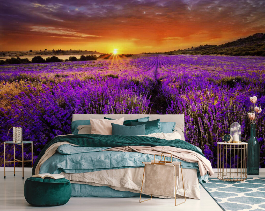 Field of purple flowers