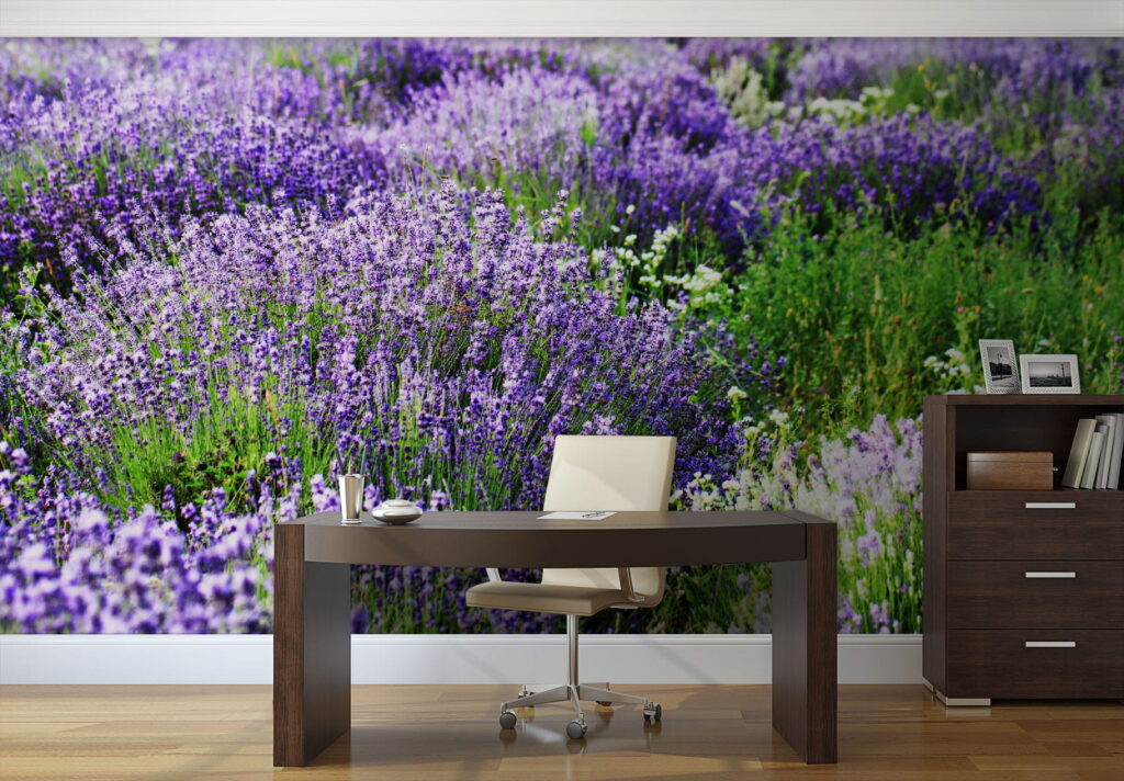 Поле фіолетових квітів u57293piw1 1024x712 - Поле фіолетових квітів - tegory