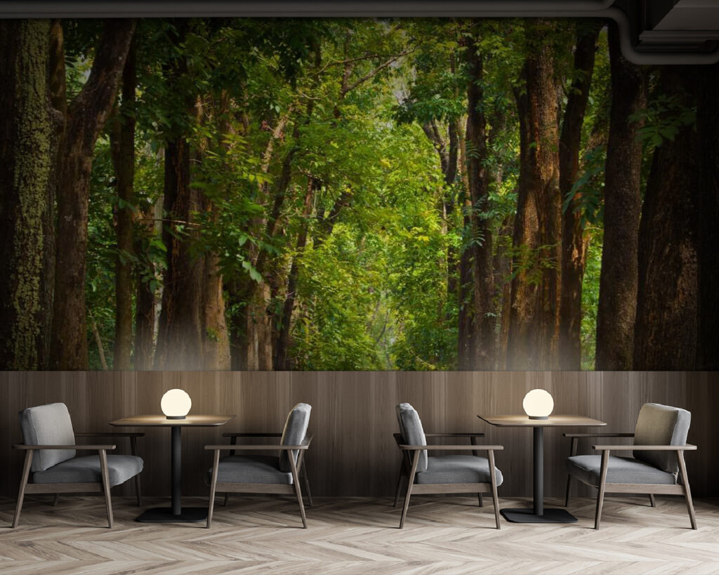 u55418piz137m 1024x819 - Доріжка з деревами збоку - tegory