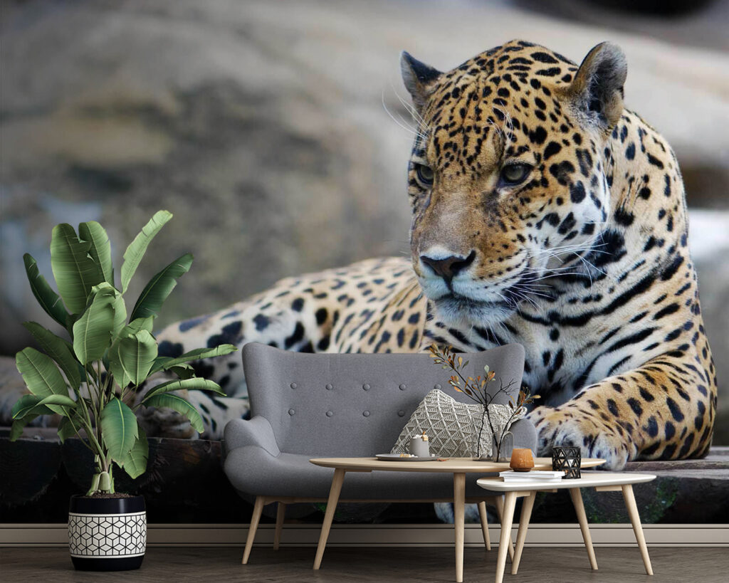 u55313pig4 1024x819 - Леопард лежить на дерев'яній поверхні - tegory