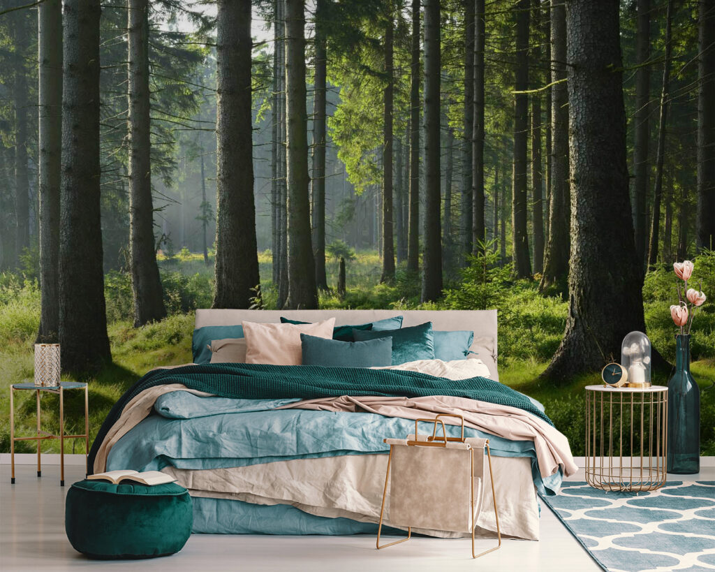 u55302pib111 1024x819 - Ліс з високими деревами і травою - tegory