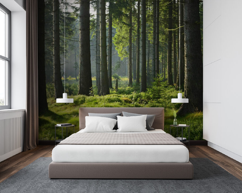 u55302pib94m 1024x819 - Ліс з високими деревами і травою - tegory