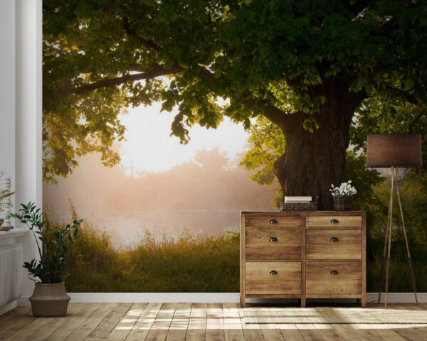 u55187pig41 600x480 - Дерево з туманною річкою - tegory