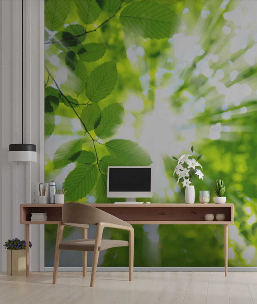 Sun shining through leaves