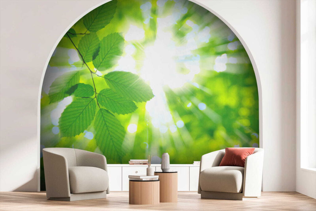 Sun shining through leaves