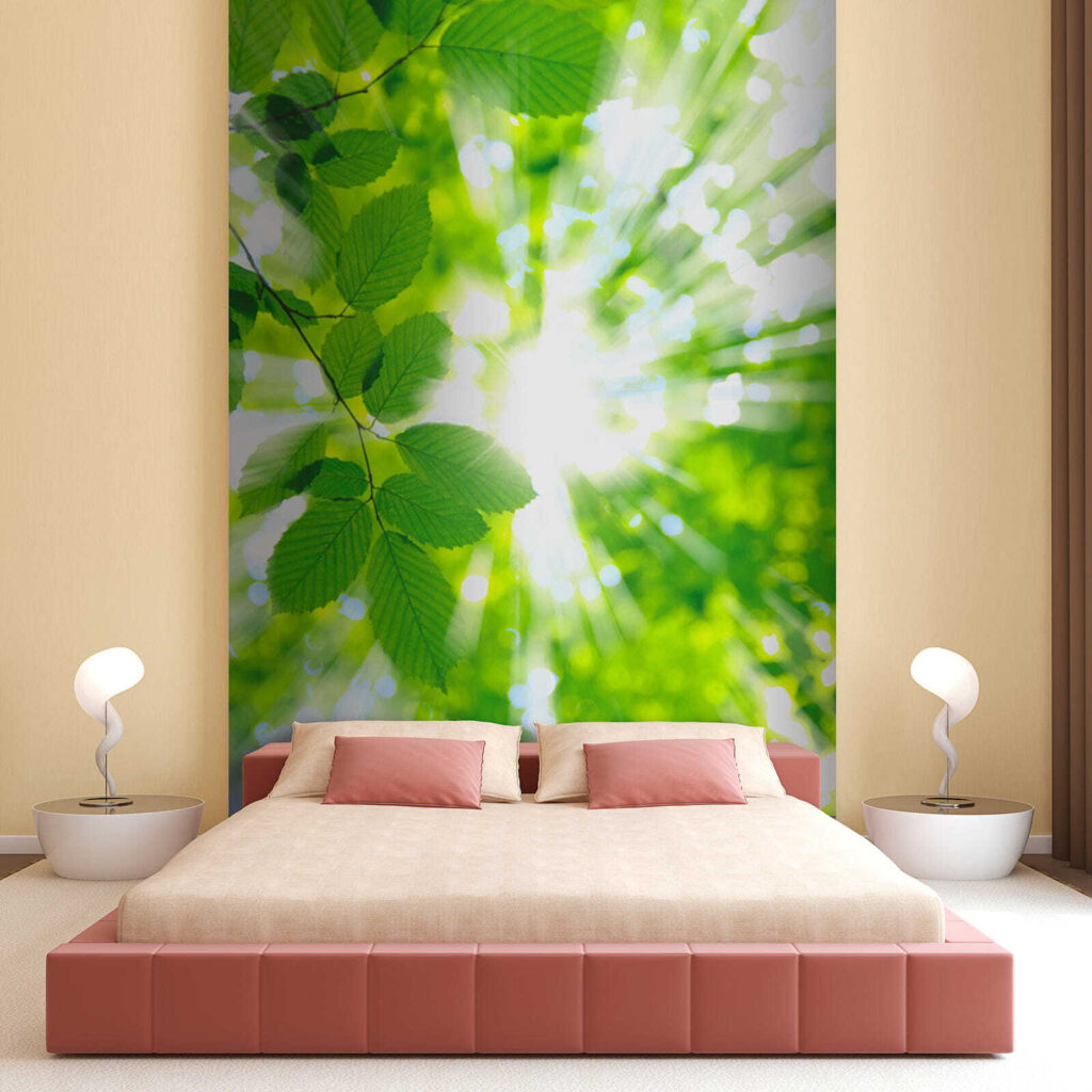 Sun shining through leaves