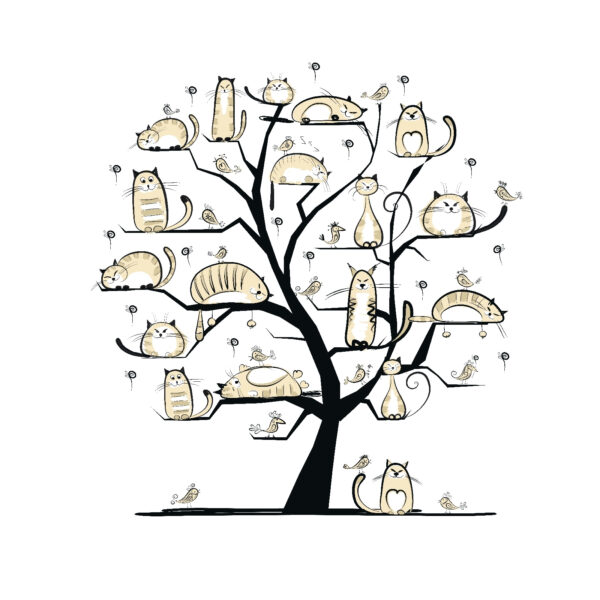 Wall murals Tree with cats on it Wall murals Tree with cats on it