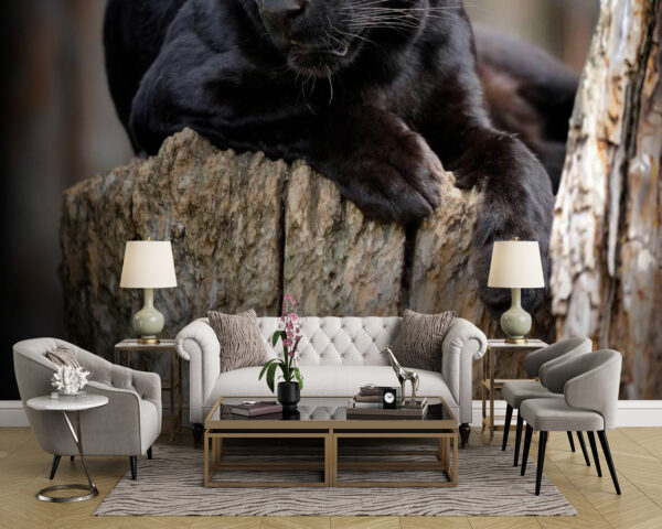 Фотошпалери Чорна пантера лежить на пні