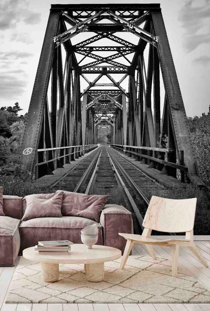 u54737pig1m 690x1024 - Залізничні колії проходять через міст - tegory