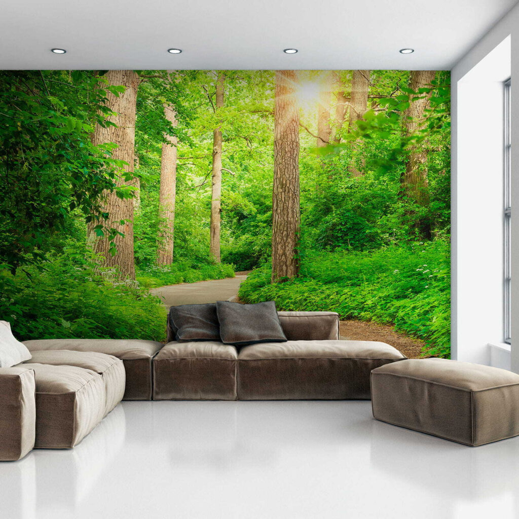 Road through a forest Road through a forest