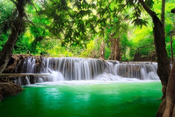 Водоспад у лісі Водоспад у лісі