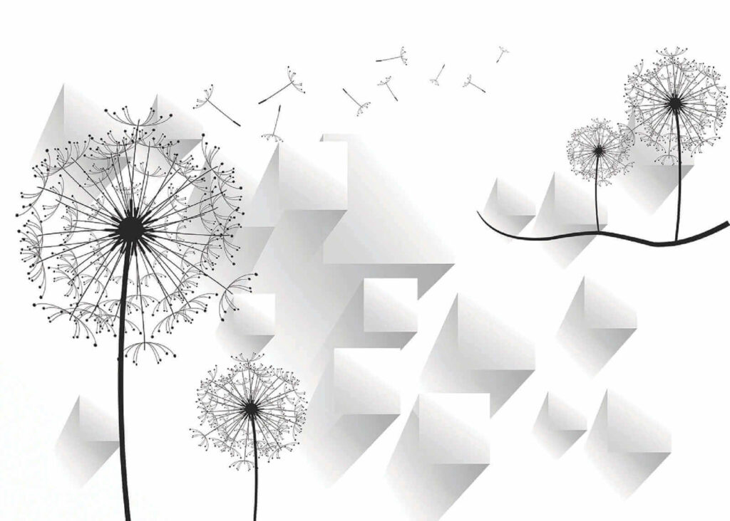 Wall murals Dandelion flowers and a white background Wall murals Dandelion flowers and a white background