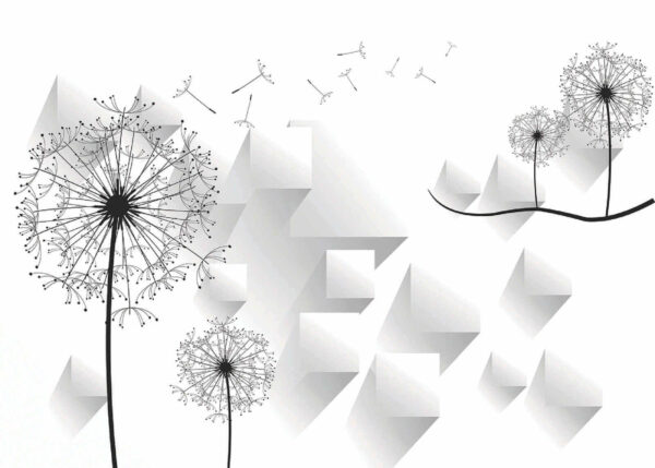Wall murals Dandelion flowers and a white background Wall murals Dandelion flowers and a white background