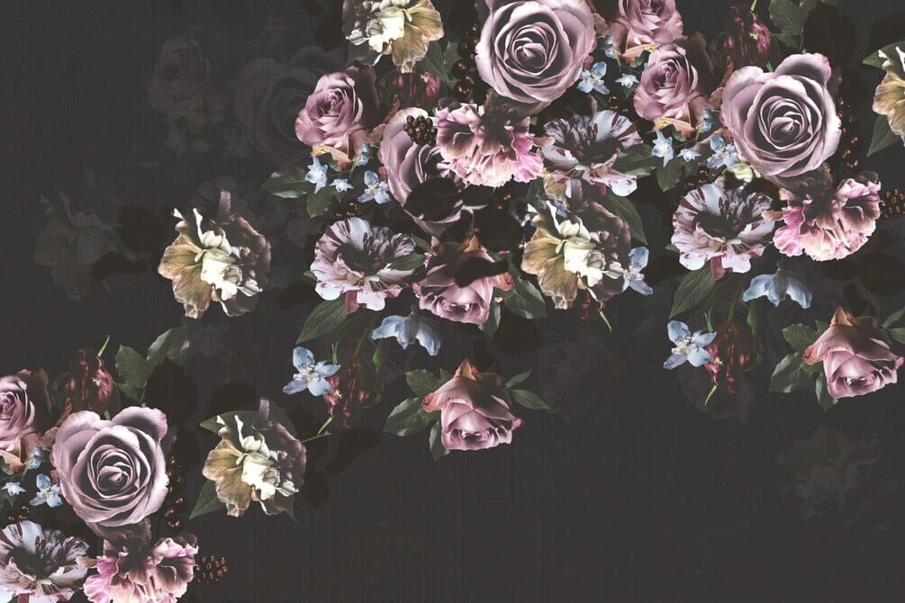 Wall murals Group of flowers on a black background Wall murals Group of flowers on a black background