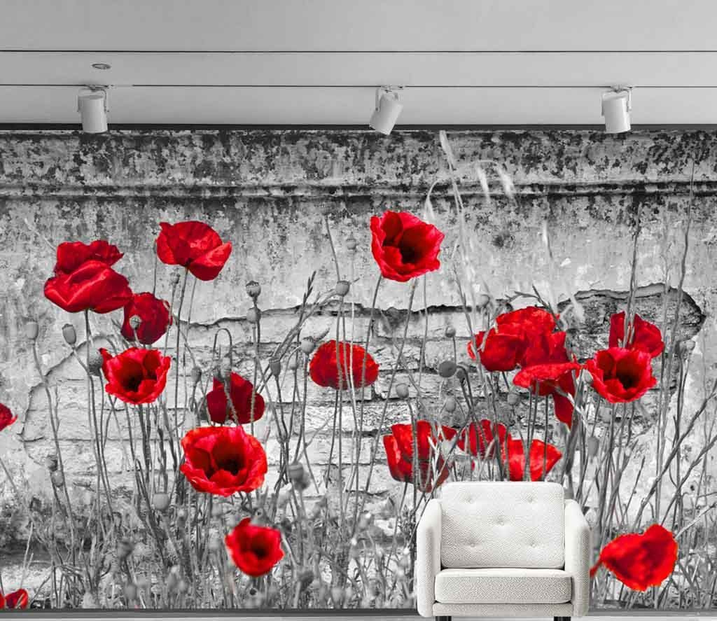 Red flowers in a field