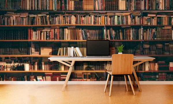 Велика книжкова шафа, повна книг Велика книжкова шафа, повна книг