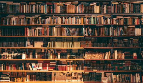 Велика книжкова шафа, повна книг Велика книжкова шафа, повна книг