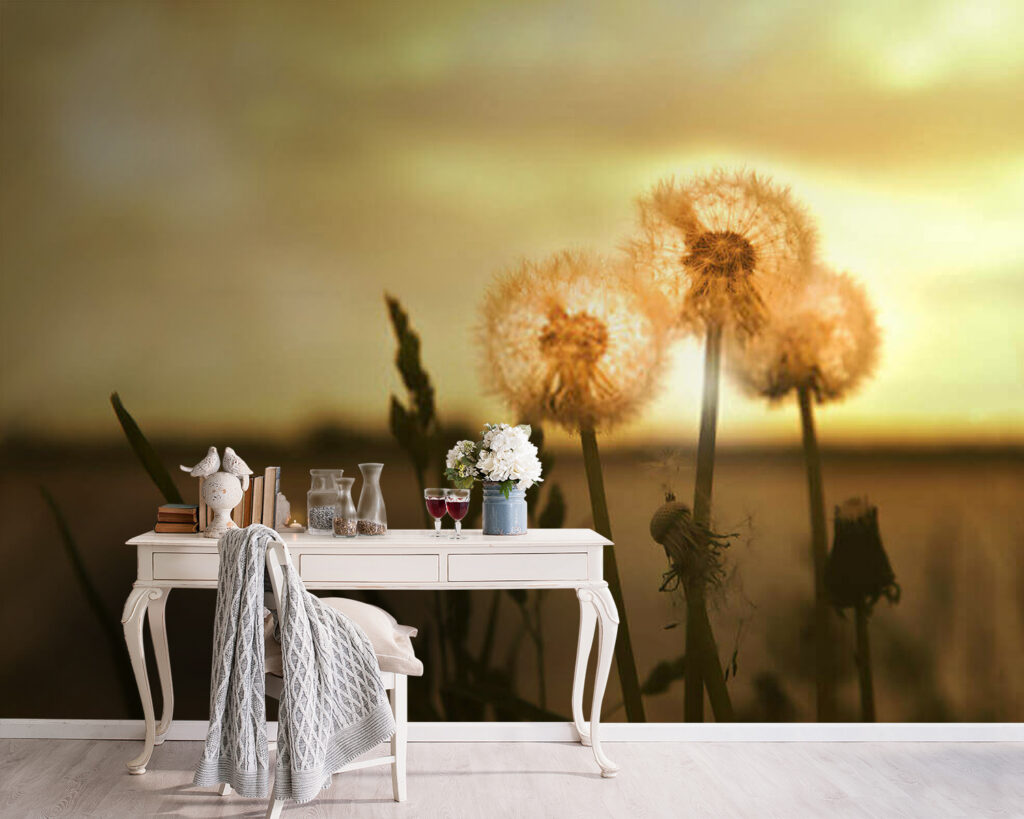 u38934pig5m 1024x819 - Кульбаби гріються в теплому світлі - tegory